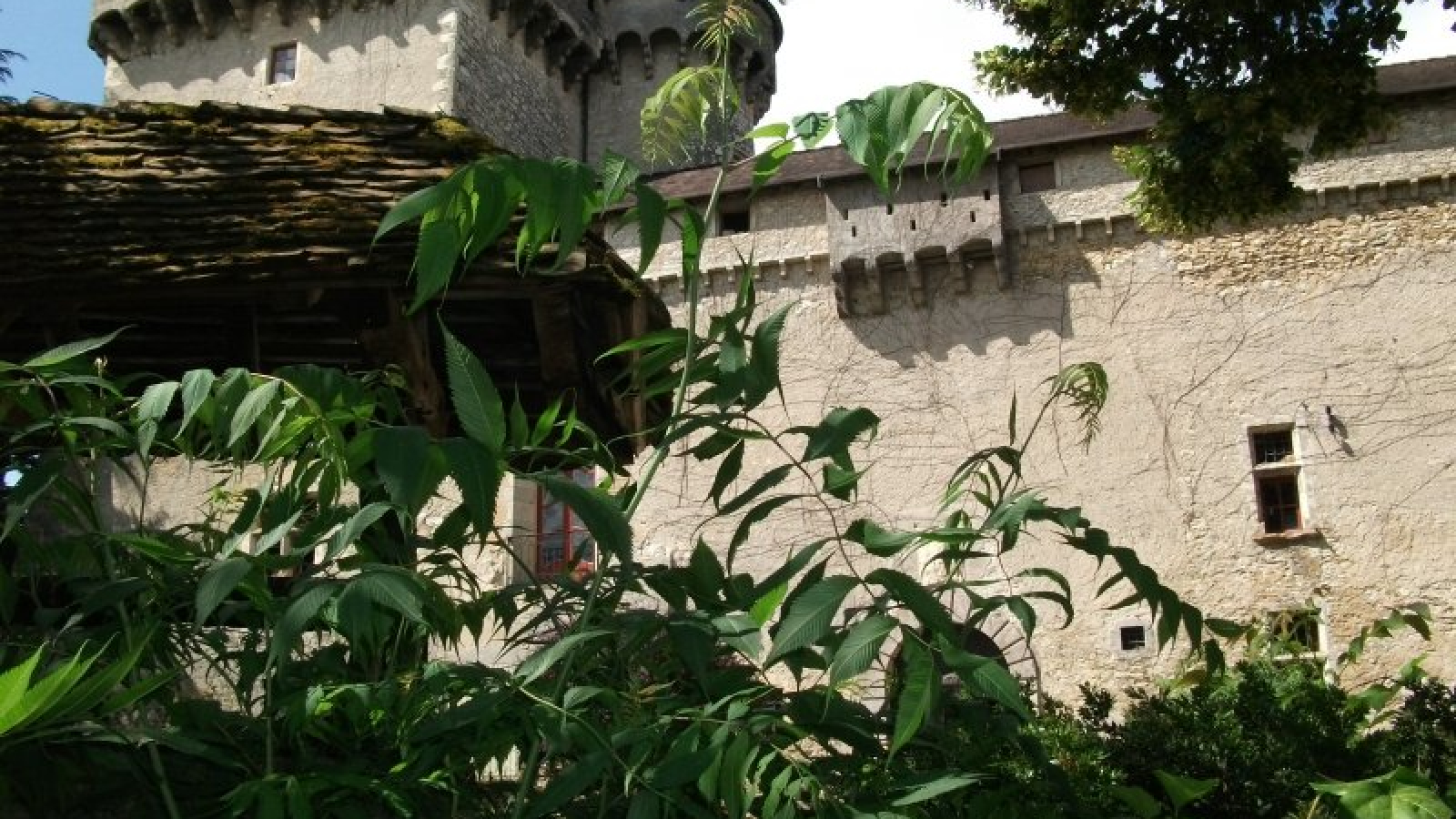 Château de Serrières - Trept - Balcons du Dauphiné