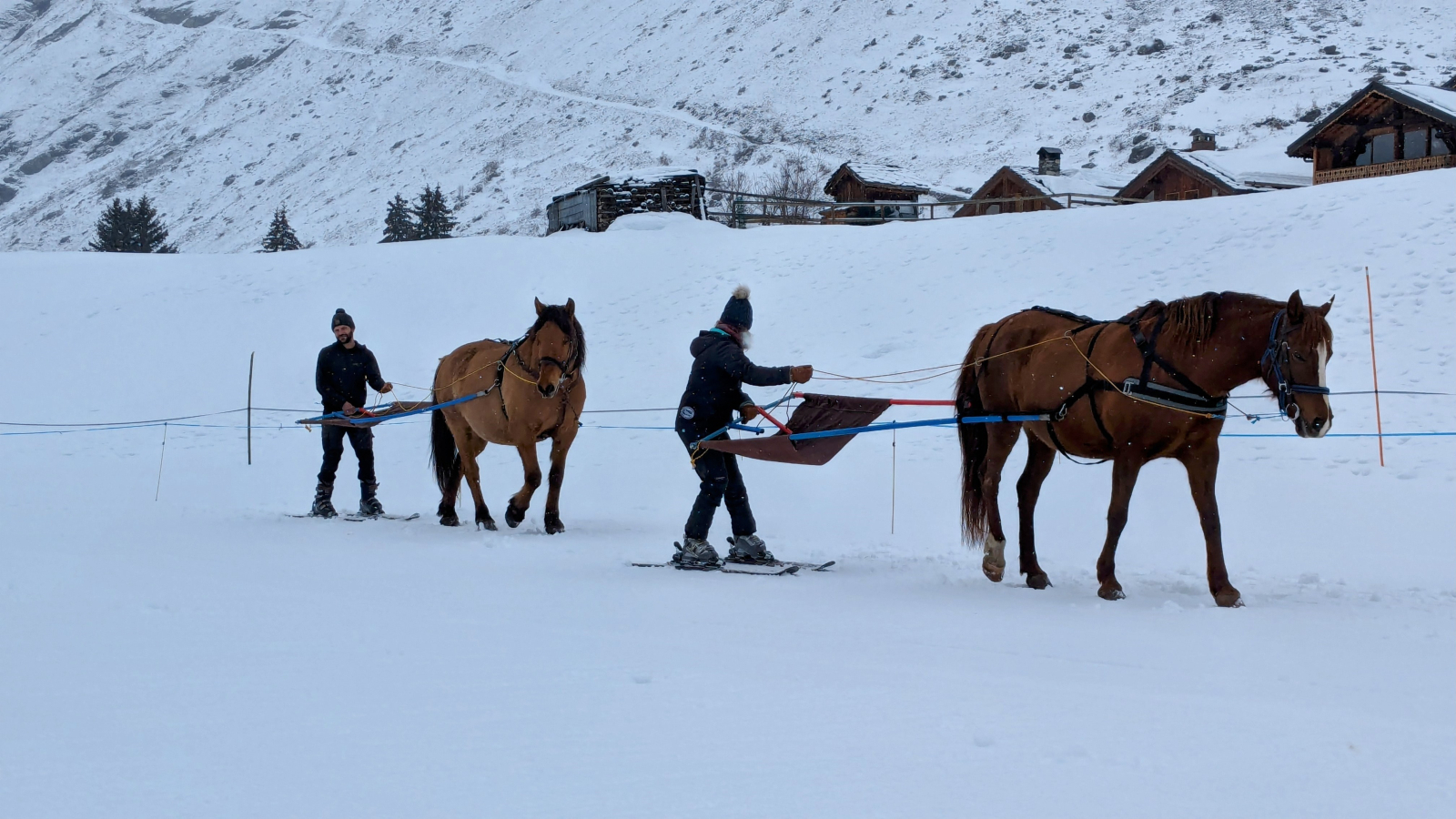 Ski joering