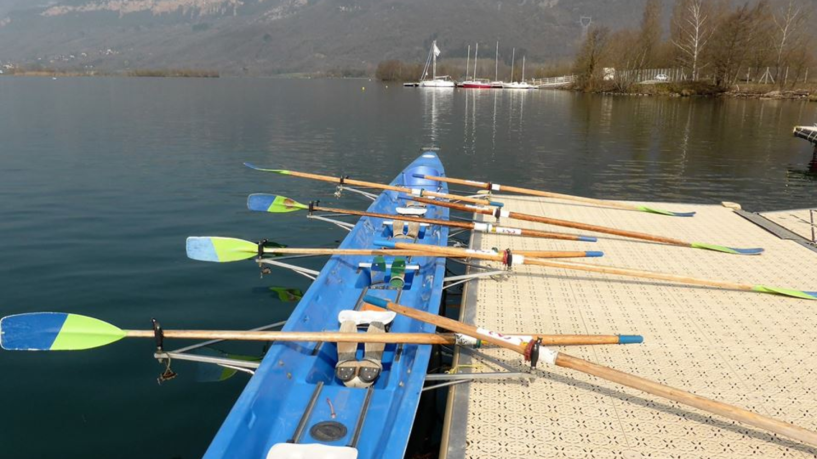 Aviron sur le Rhône