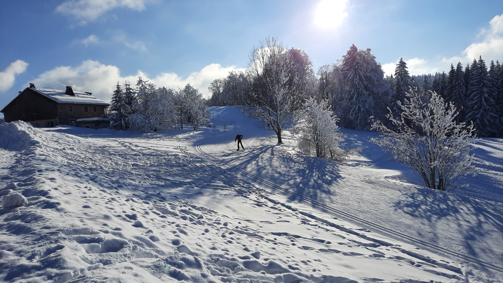 Skieur skating, dans une cote de la piste verte - Plaine Joux, les Brasses