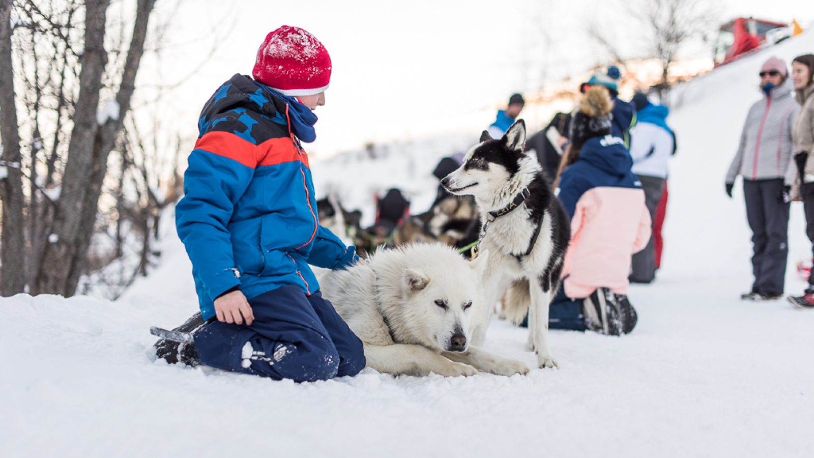 Enfant et chien